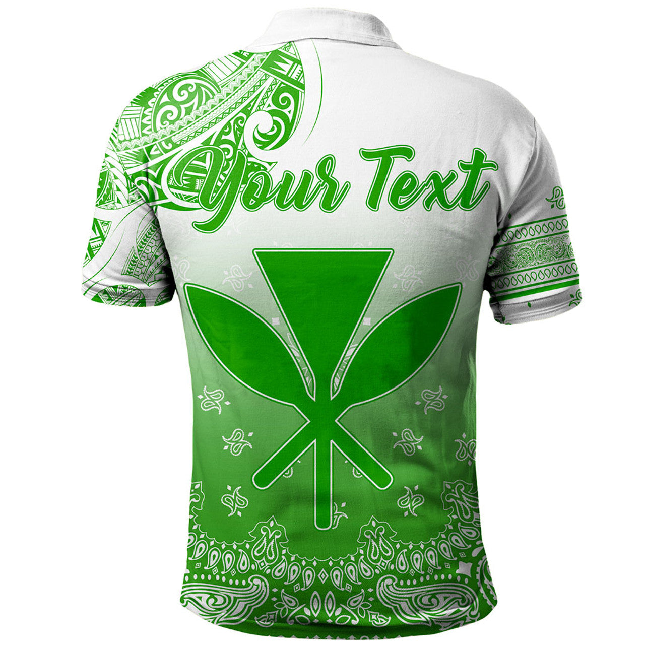 Hawaii Polo Shirt Custom Kanaka Paisley Style - AL01